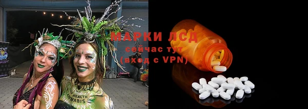 ГАЛЛЮЦИНОГЕННЫЕ ГРИБЫ Белоозёрский