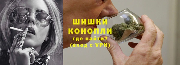 ECSTASY Покачи