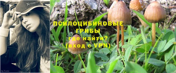 spice Беломорск