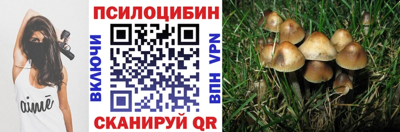 даркнет сайт  Калининец  Псилоцибиновые грибы Magic Shrooms 